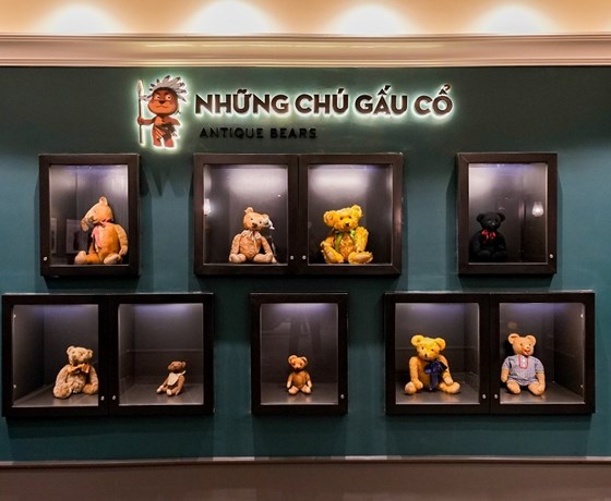 Vé Bảo tàng Gấu Teddy Bear